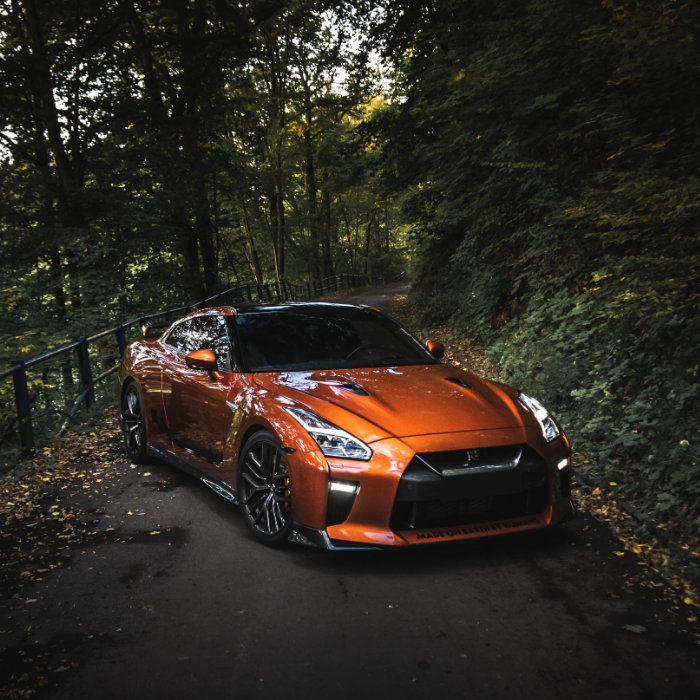 "GTR nature" - Fertige individuelle Dual-Layer-Hülle für das iPhone