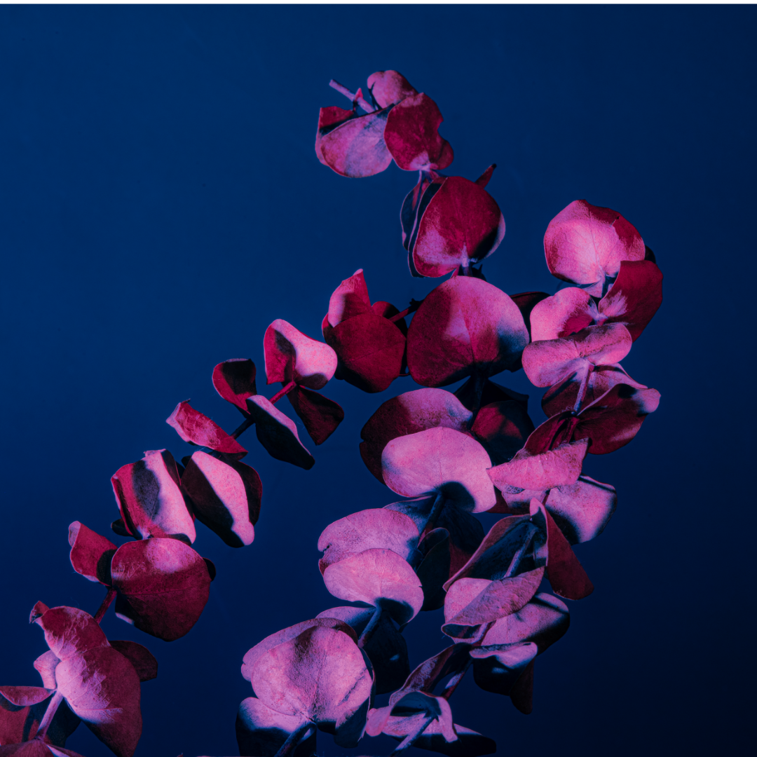 "Night Flowers" - Coque double couche personnalisée prête à l'emploi pour iPhone