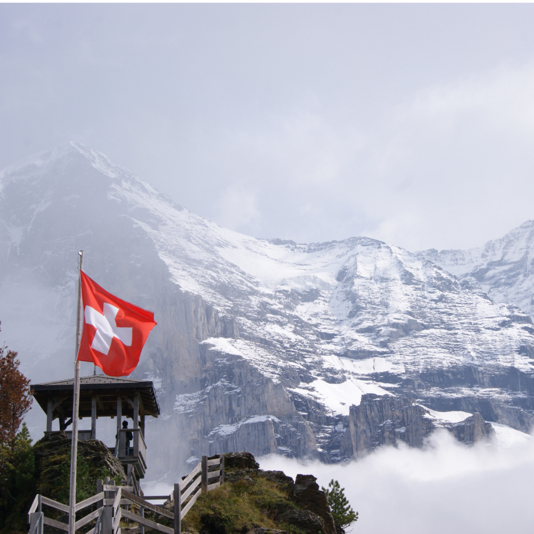"Swiss mountains" - Fertige individuelle Dual-Layer-Hülle für das iPhone